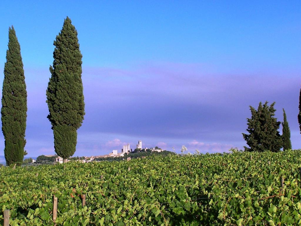 산지미냐노 Poggetto Di Montese 아파트 객실 사진